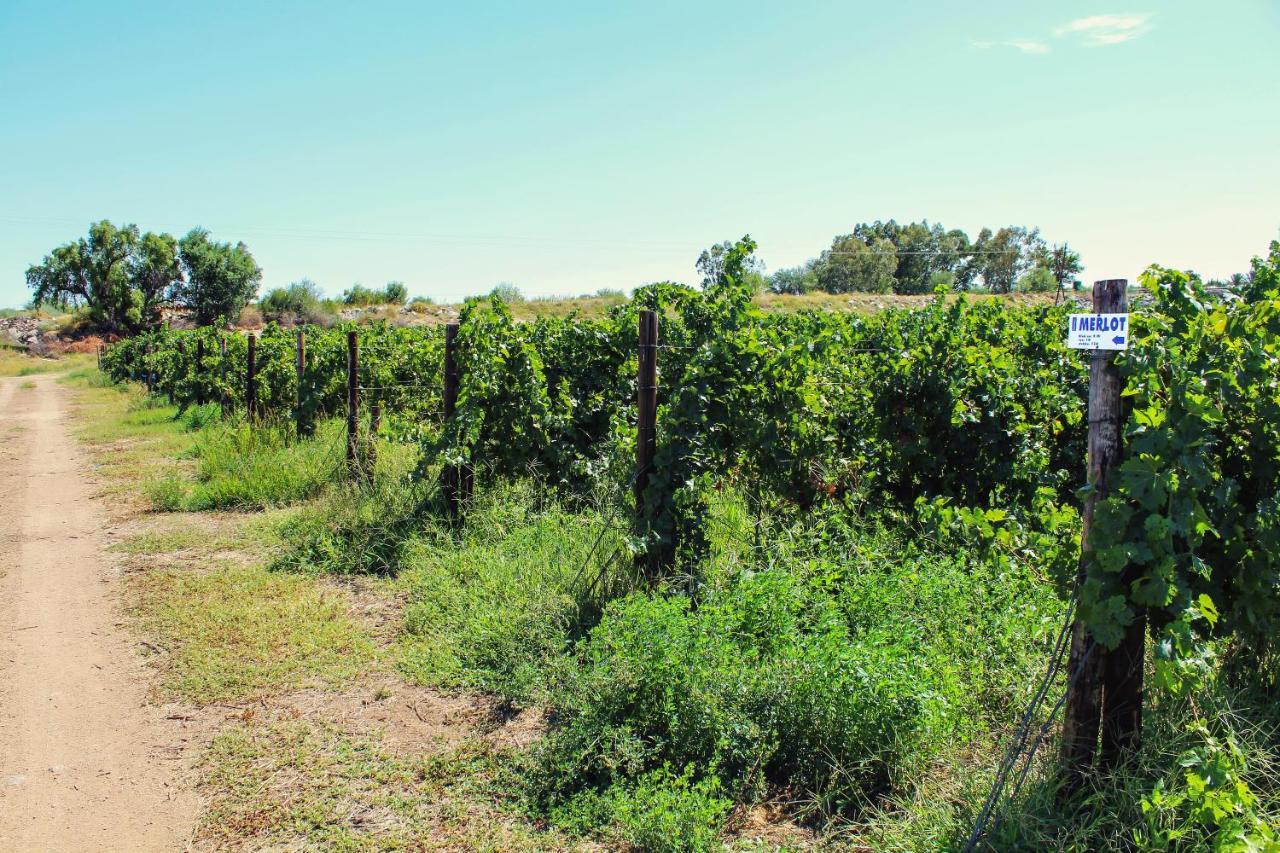 Вілла Bezalel Wine & Brandy Estate Kanoneiland Екстер'єр фото